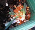 compost : excellent engrais naturel pour toutes nos plantations
