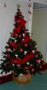 01notre sapin