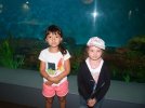 Visite de l aquarium 53