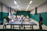 le ping pong
